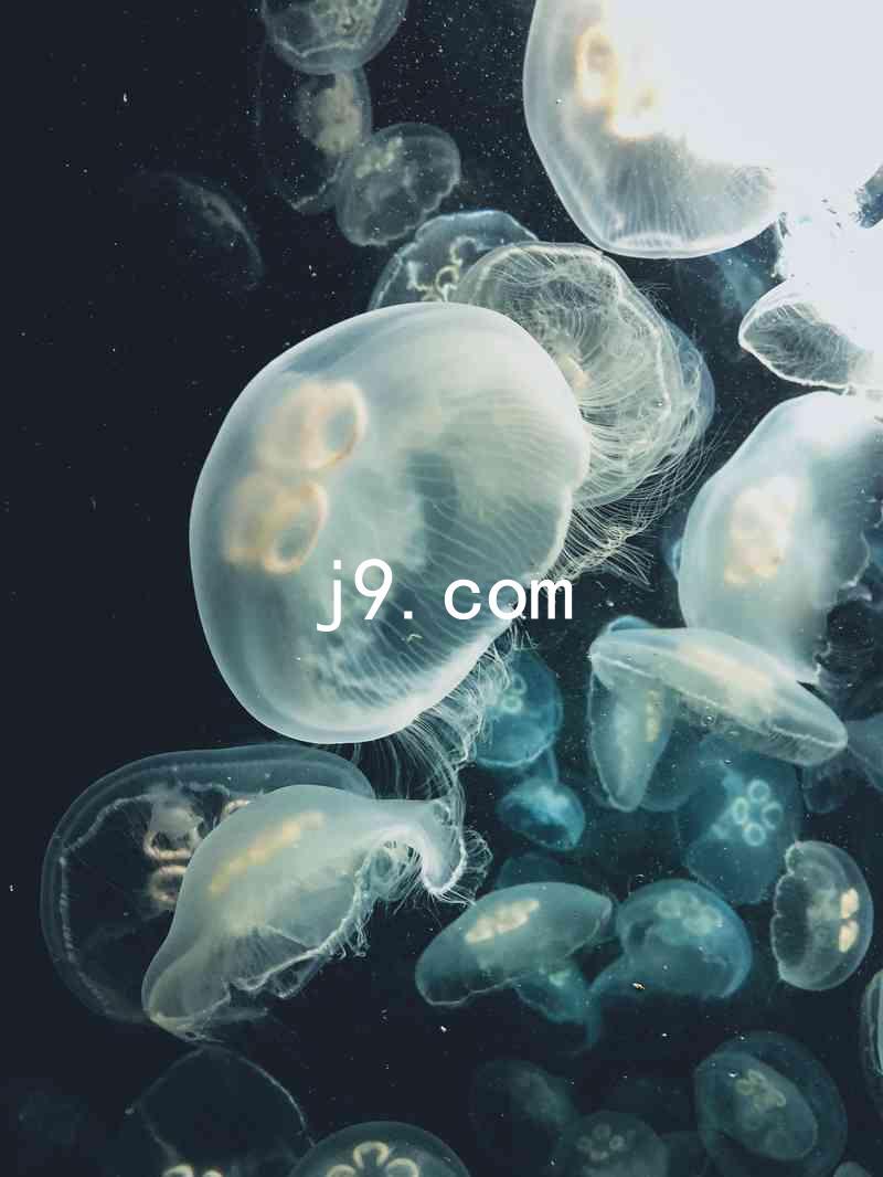 j9.com